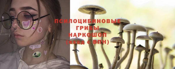 PSILOCYBIN Алексин