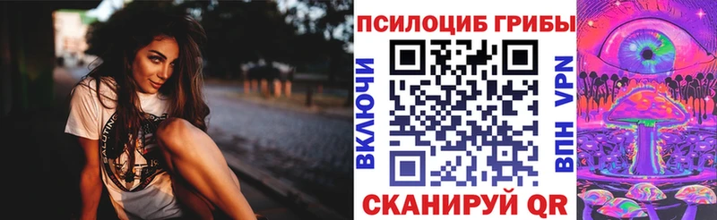 Галлюциногенные грибы Psilocybe  наркота  ОМГ ОМГ сайт  Талдом 